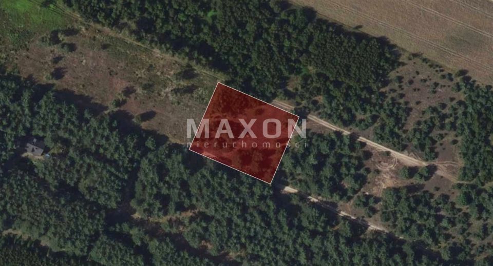 Działka leśna Kępiaste