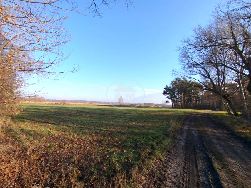 Działka rolna Kędzie