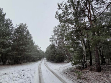 Działka rekreacyjna Osada-Wola