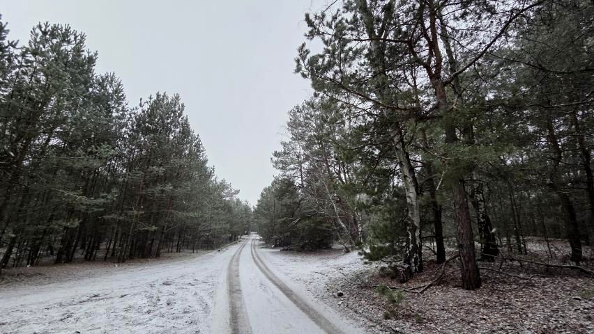 Działka rekreacyjna Osada-Wola