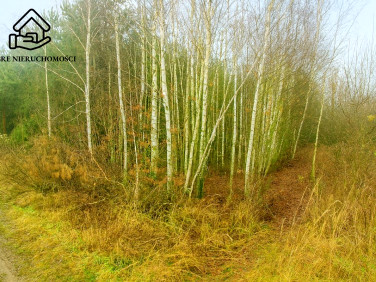 Działka rolna Trawniki