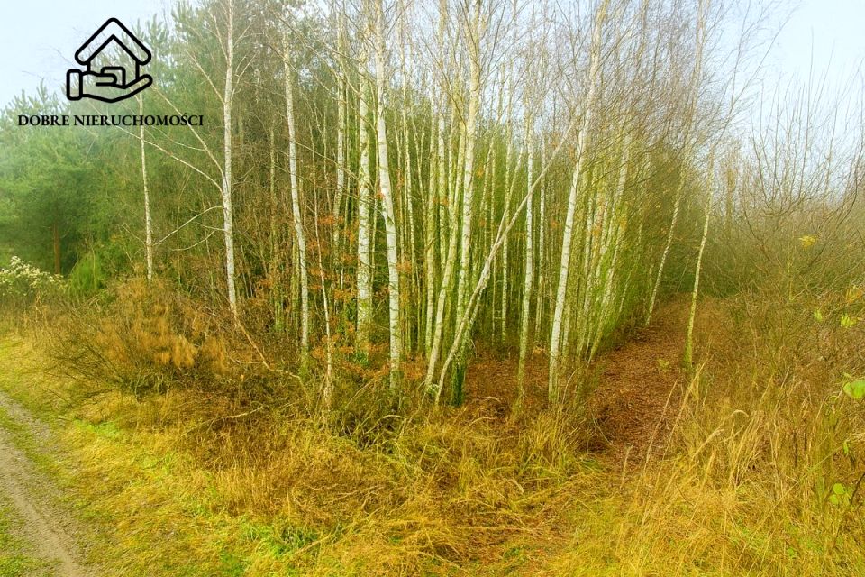 Działka rolna Trawniki