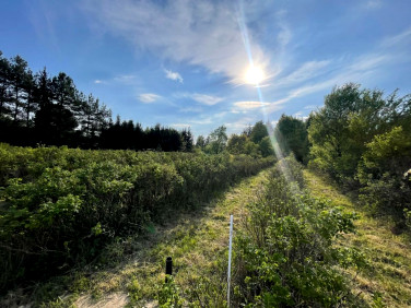 Działka budowlana Podkampinos