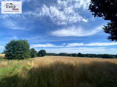 Działka rolna Zacisze