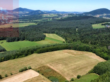 Dom Brunary sprzedaż