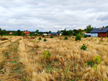 Działka budowlana feliksów