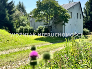 Dom Nowe Siodło sprzedaż