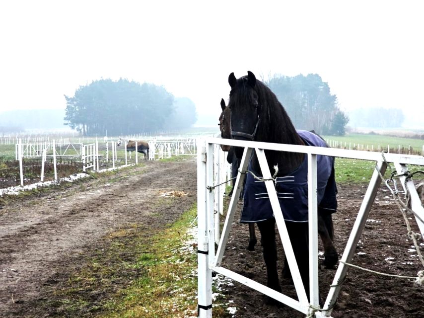 Budynek użytkowy Kębliny