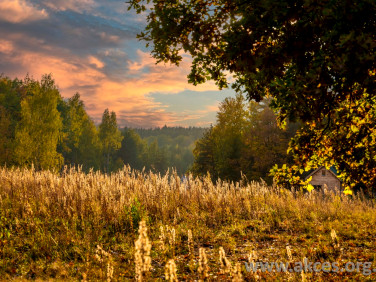 Działka budowlana Jeziórka
