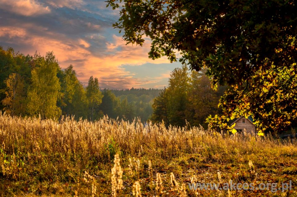 Działka budowlana Jeziórka
