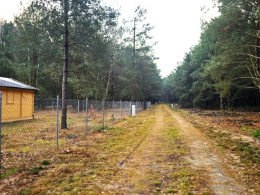 Działka budowlana Ozorków