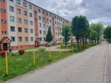 Mieszkanie Działdowo