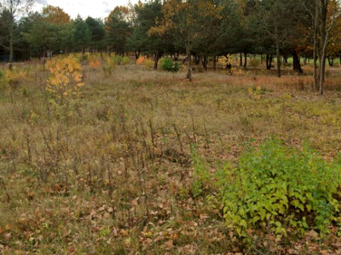 Działka budowlana Huta Żabiowolska