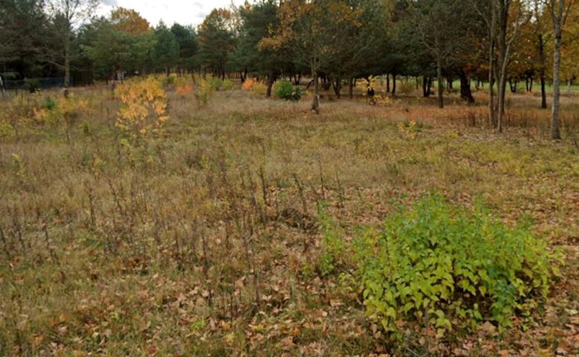 Działka budowlana Huta Żabiowolska