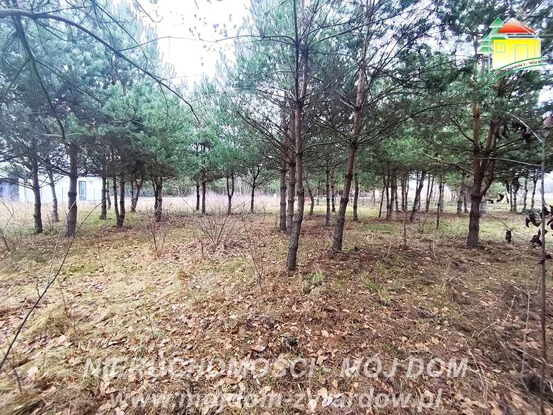 Działka budowlana Zboiska