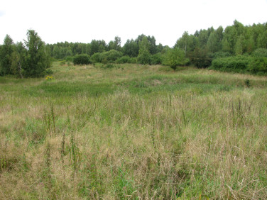 Działka rolno-leśna Baranówka