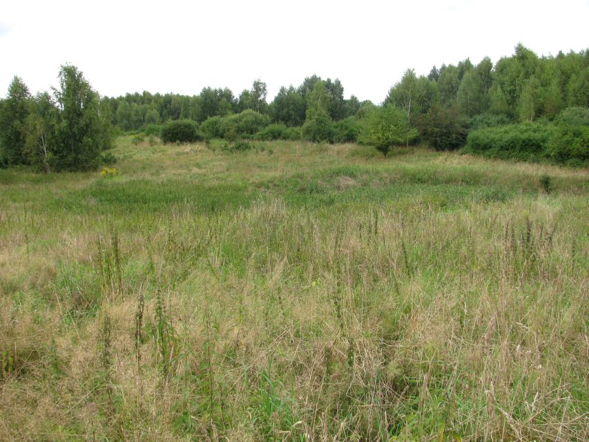 Działka rolno-leśna Baranówka