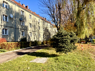 Mieszkanie Bytom