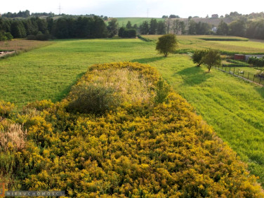 Działka usługowa Zielonki