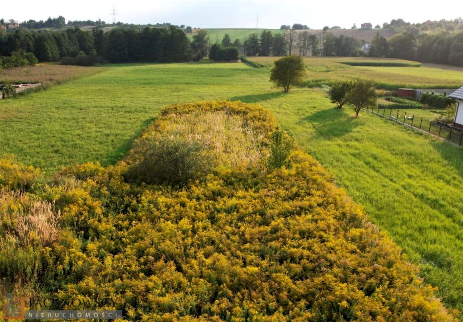 Działka usługowa Zielonki