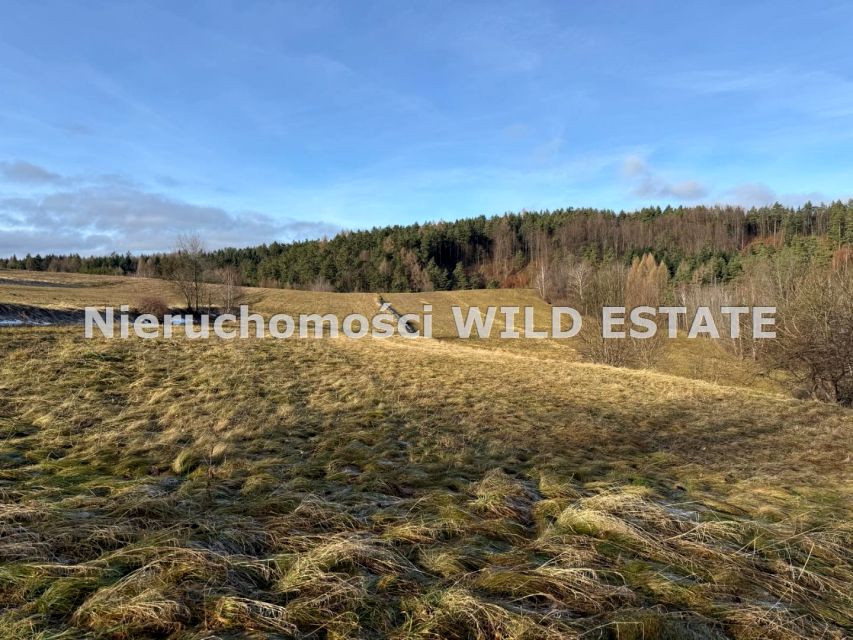 Działka inwestycyjna Berezka