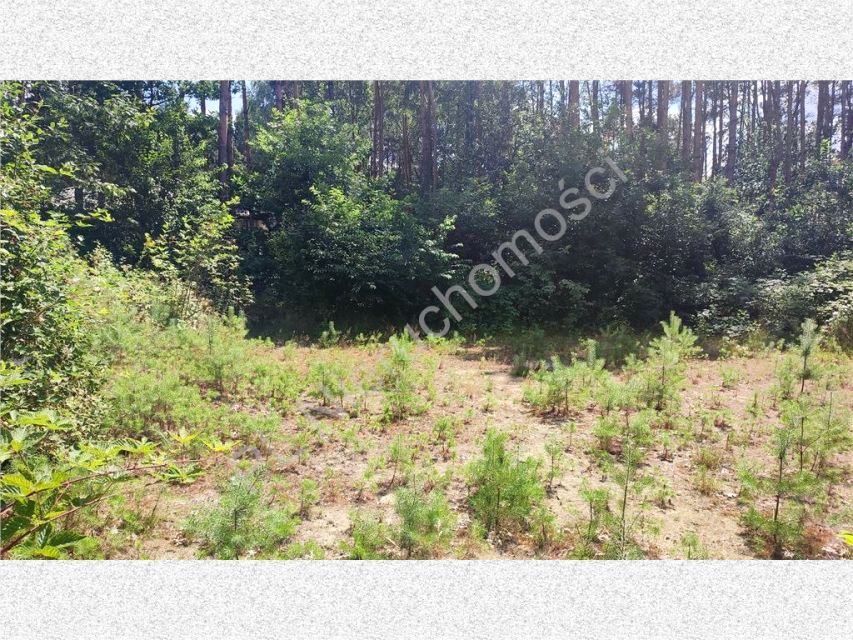 Działka budowlana Makówka