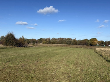 Działka rolna Lędzin