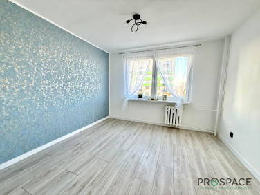 Mieszkanie Zielona Góra sprzedaż