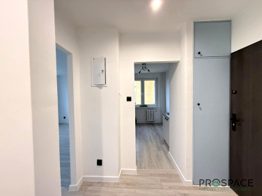 Mieszkanie Zielona Góra