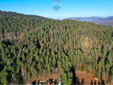 Działka leśna TRESNA