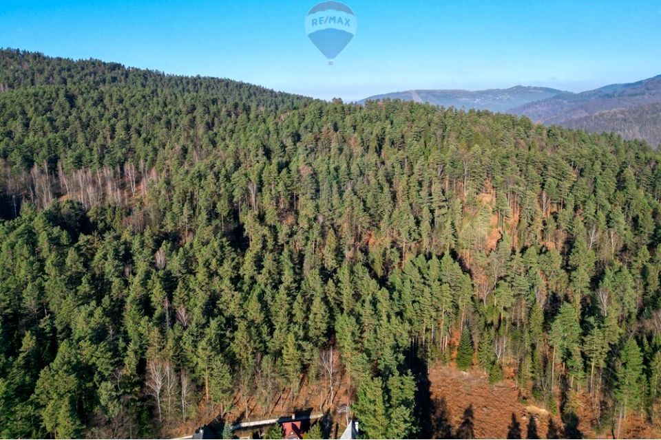 Działka leśna TRESNA