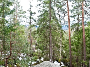 Działka Kościelisko