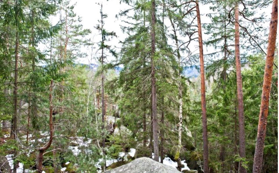 Działka Kościelisko