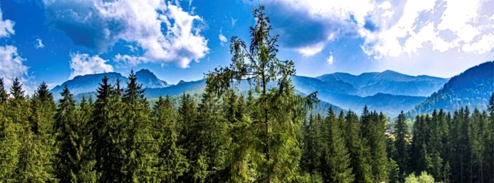 Działka budowlana Kościelisko