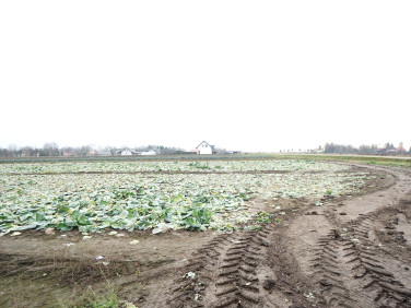 Działka budowlana Sośnica-Brzeg