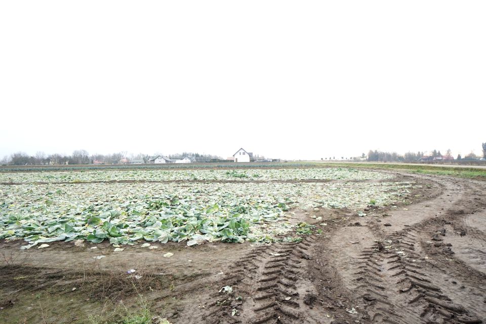 Działka budowlana Sośnica-Brzeg