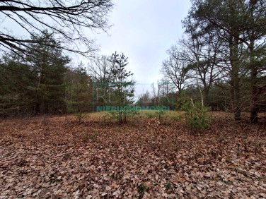 Działka budowlana Owczarnia