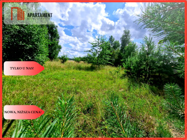 Działka inna Charzykowy