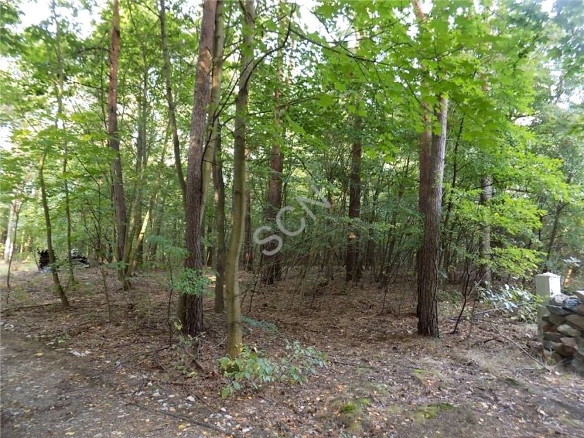 Działka leśna Otwock