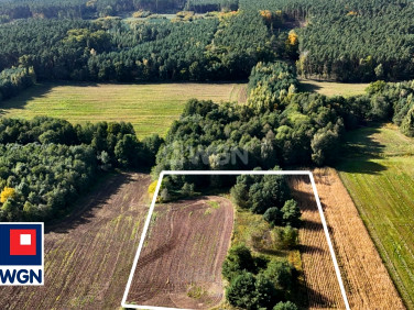 Działka rolna Mienice