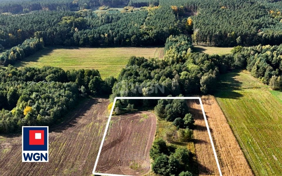 Działka rolna Mienice