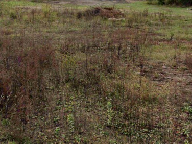 Działka budowlana Książenice