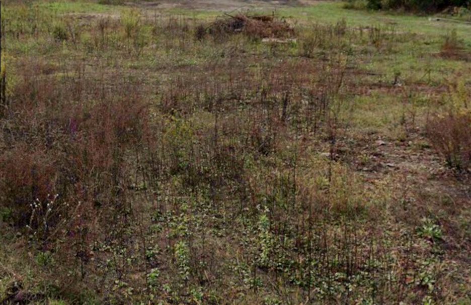 Działka budowlana Książenice