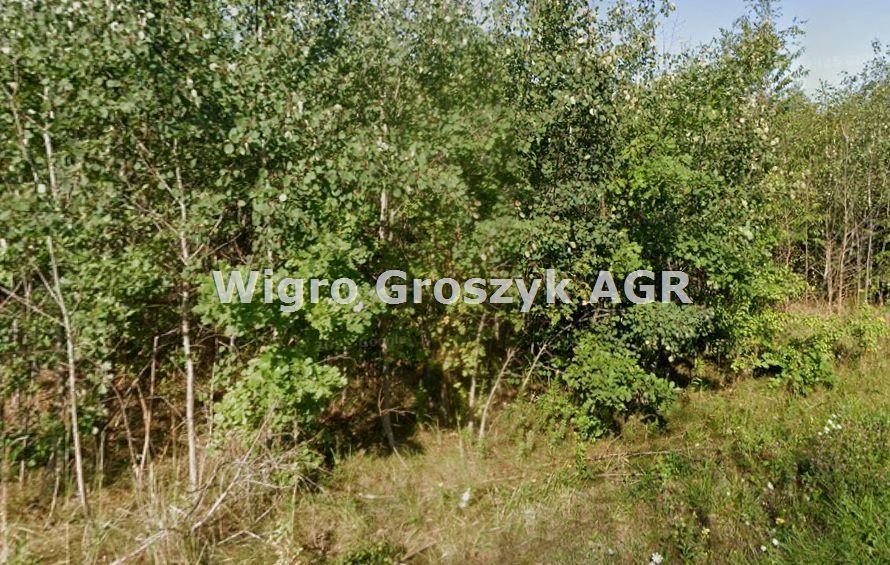 Działka budowlana Sowia Wola