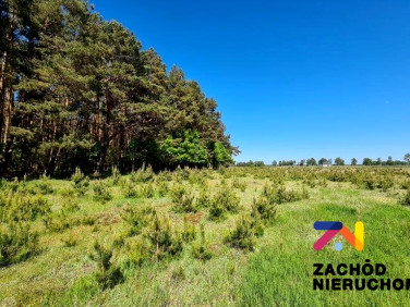 Działka budowlana Wysoka sprzedam