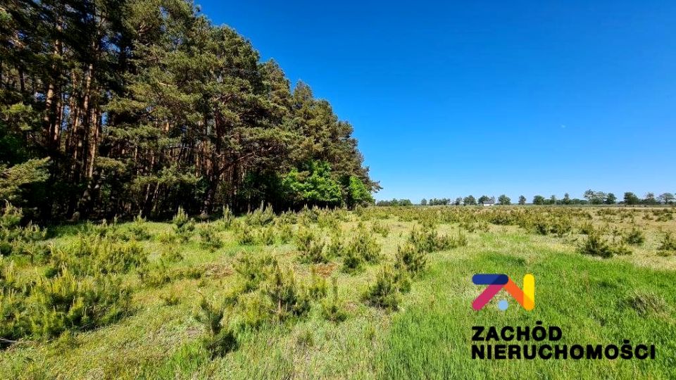 Działka budowlana Wysoka sprzedam