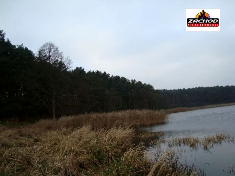 Działka leśna Przytoczna sprzedam