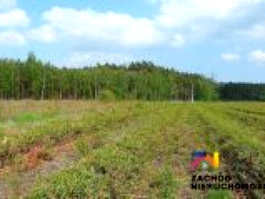 Działka rolna Goszczanowiec sprzedam