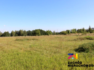 Działka rolna Gorzów Wielkopolski sprzedam