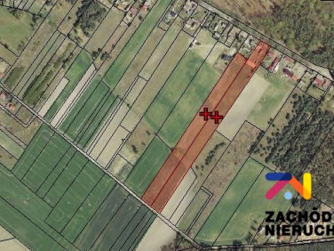 Działka rolna Lubiszyn sprzedam